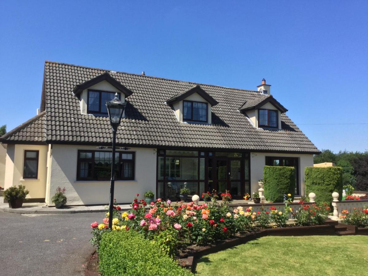 Weir View Bed And Breakfast Durrow Exterior photo